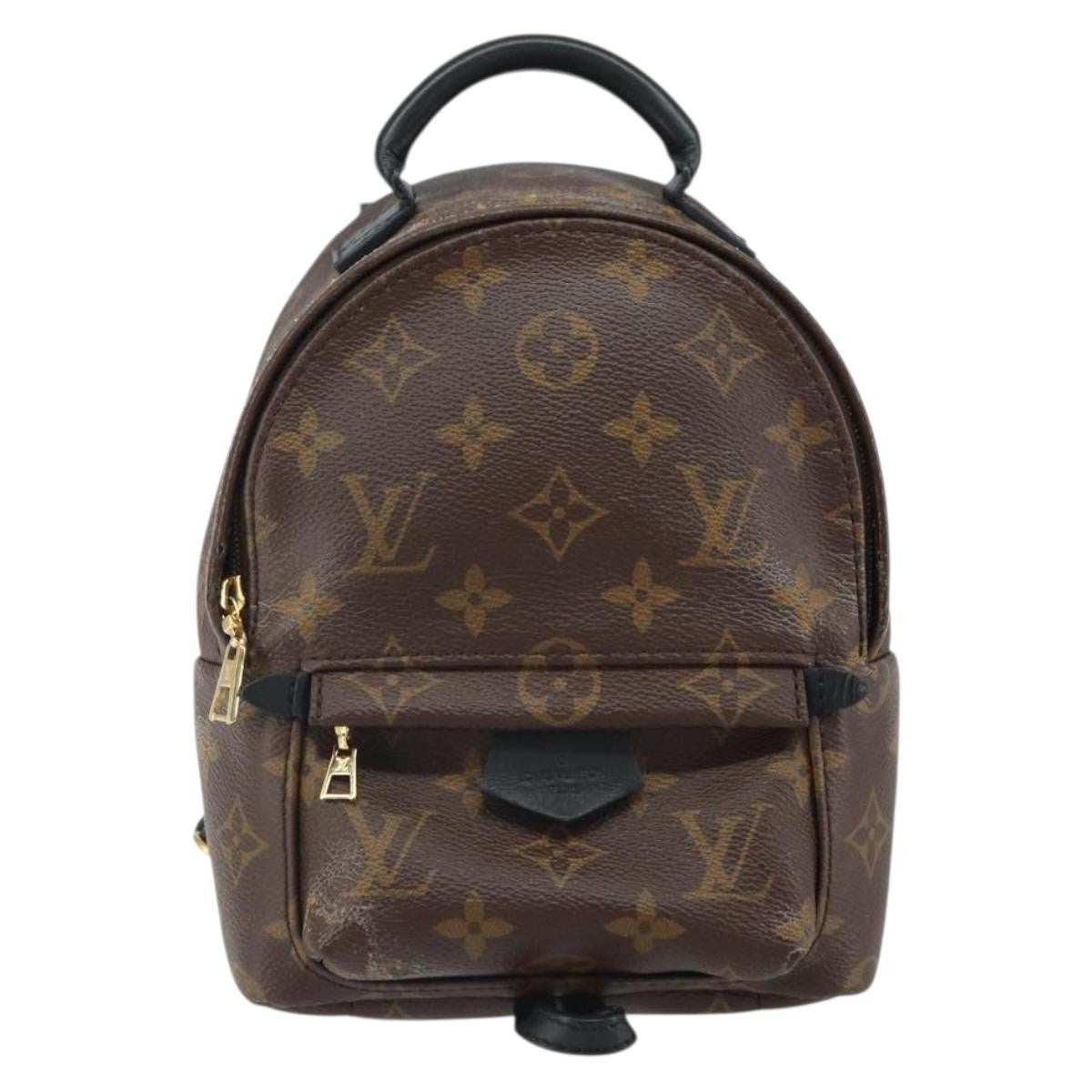 Louis Vuitton Palm Springs Monogram Canvas Brown Canvas Backpack Bag (Pre-Owned)
