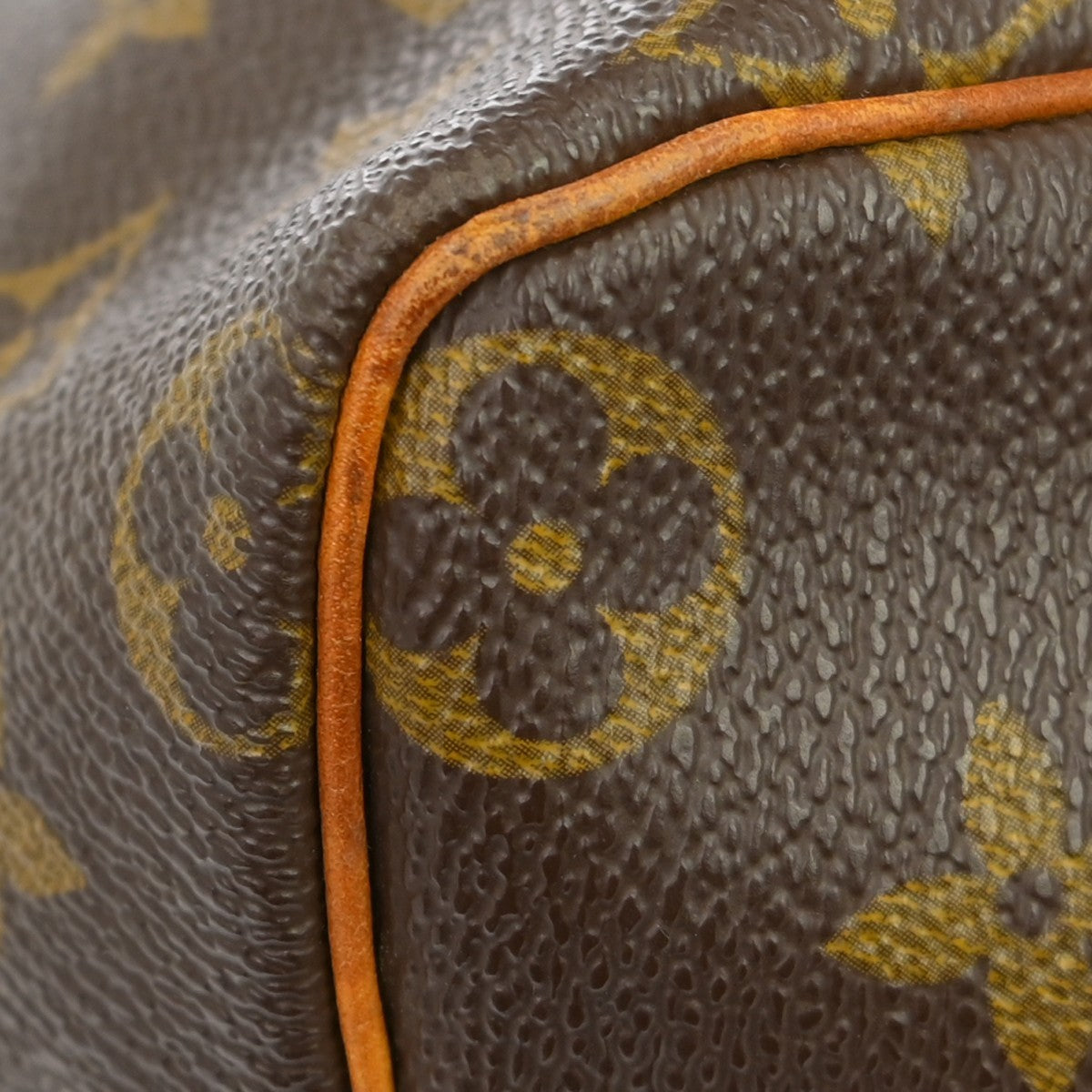 Louis Vuitton Speedy Monogram Canvas Brown Canvas Handbag (Pre-Owned)