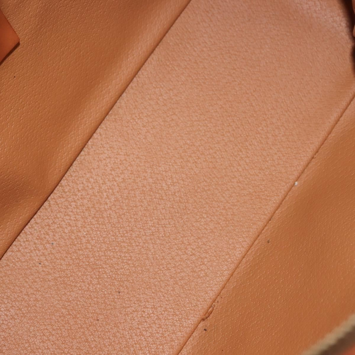 Celine Macadam Canvas Brown Canvas Handbag (Pre-Owned)