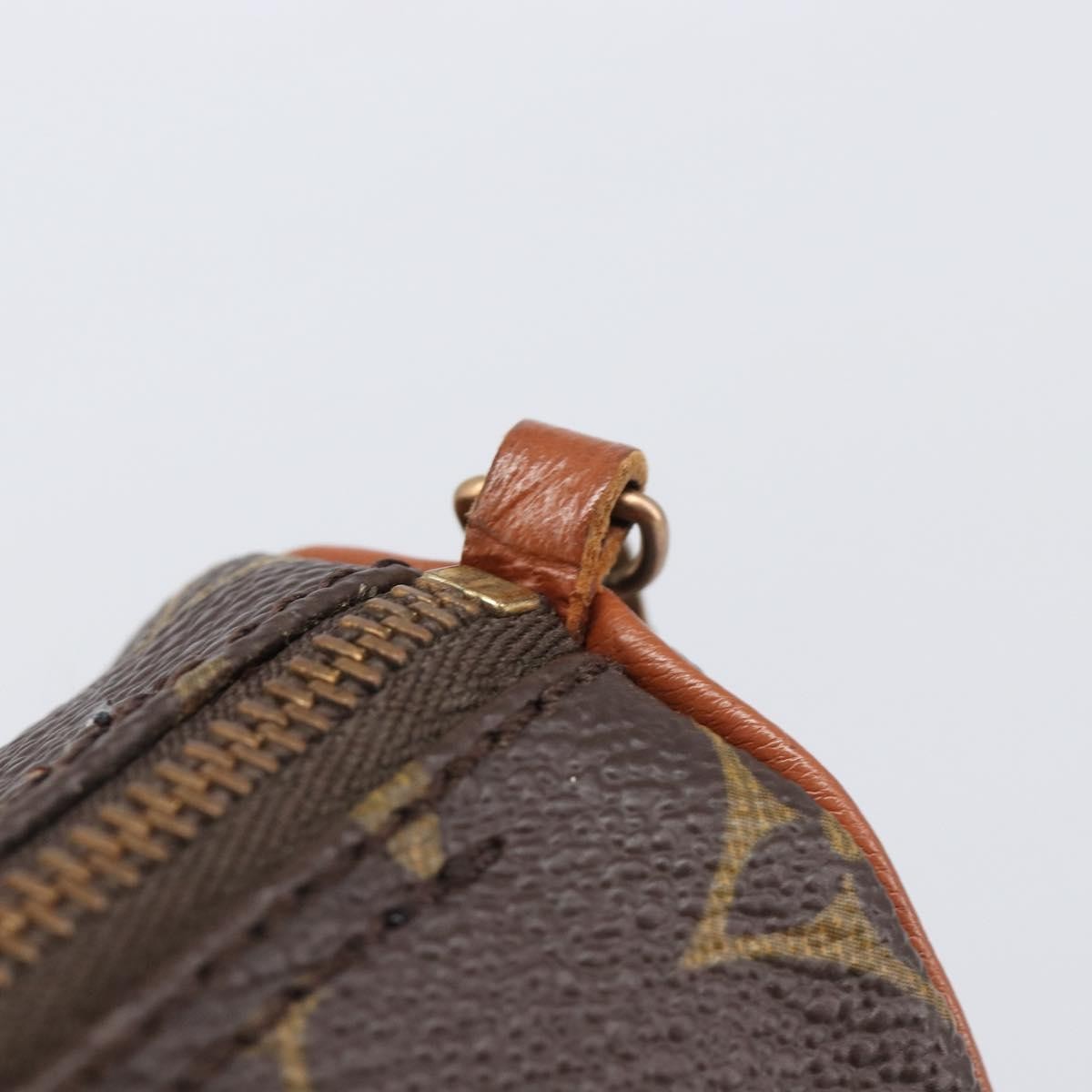 Louis Vuitton Papillon Pochette Monogram Canvas Brown Canvas Clutche & Pouche Bag (Pre-Owned)