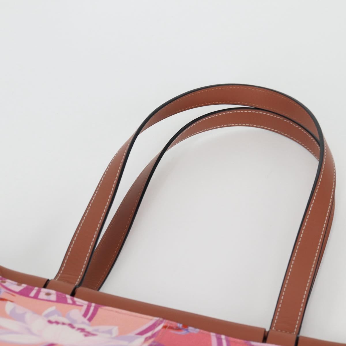 Loewe Paula's Ibiza Cushion Printed Canvas Pink Canvas Tote Bag Bag (Pre-Owned)