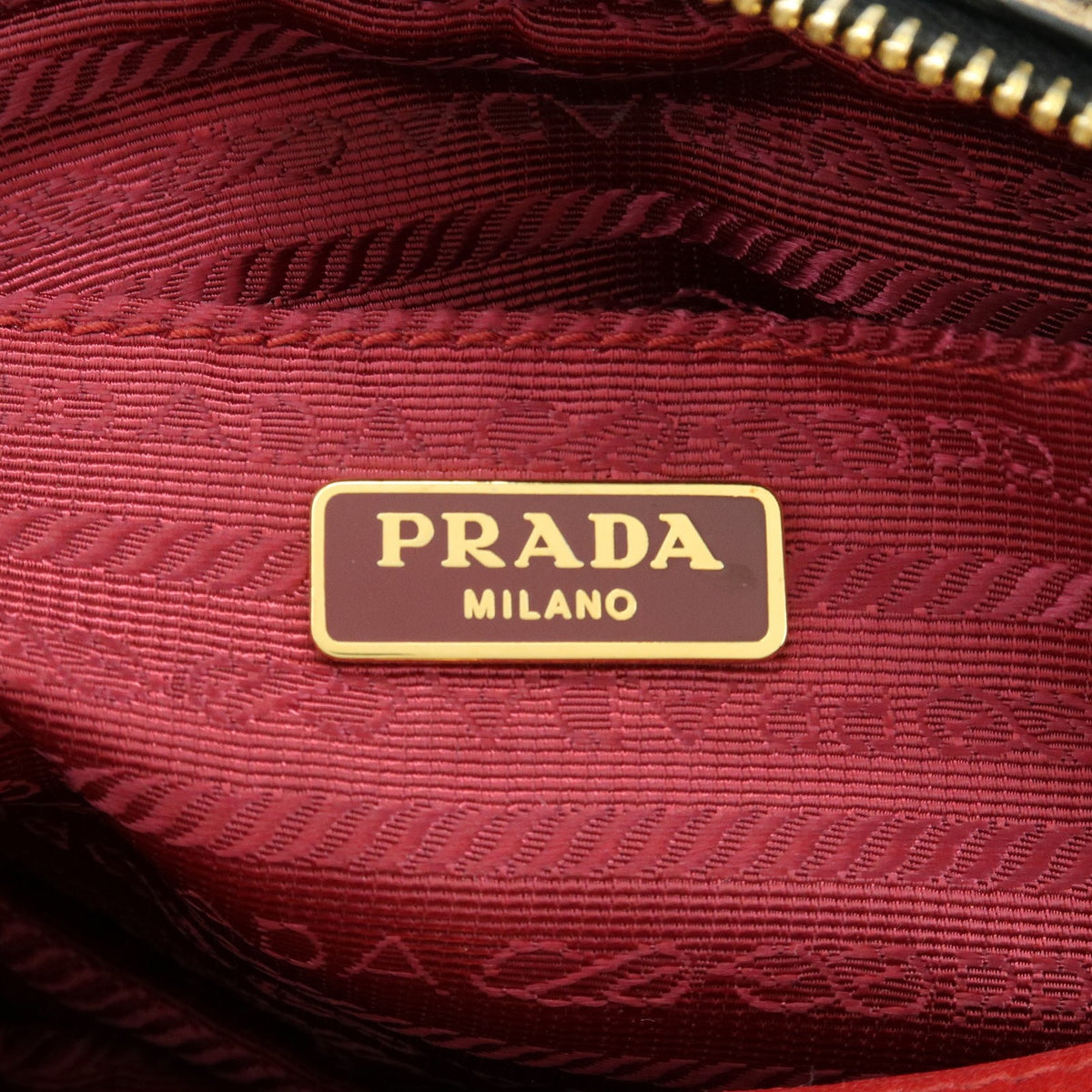 Prada Camera Printed Calf Hair Brown Pony_Style_Calfskin Handbag (Pre-Owned)