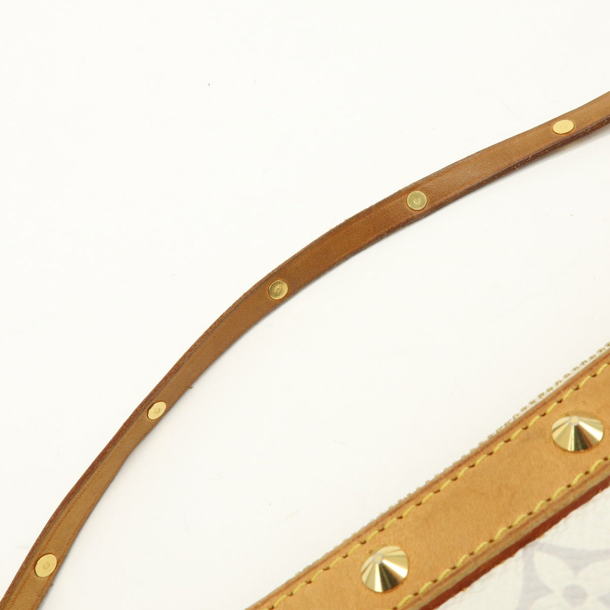 Louis Vuitton Pochette Accessoires Monogram Multicolor Multicolour Canvas Clutche & Pouche Bag (Pre-Owned)