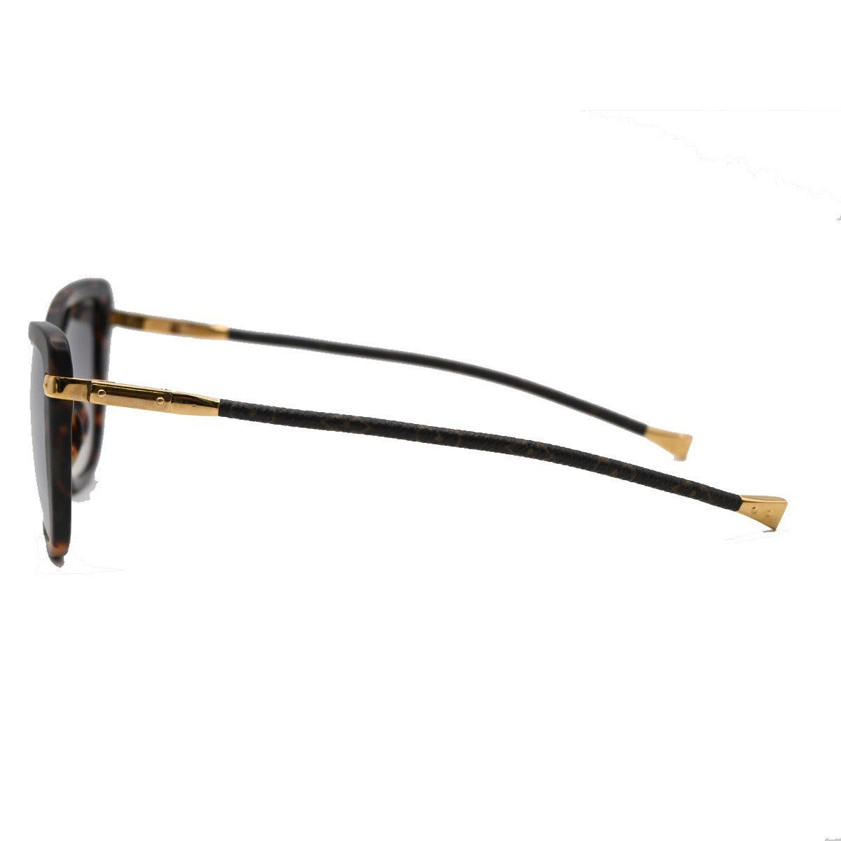 Louis Vuitton Charlotte Plastic Brown Plastic Sunglasse Accessory (Pre-Owned)