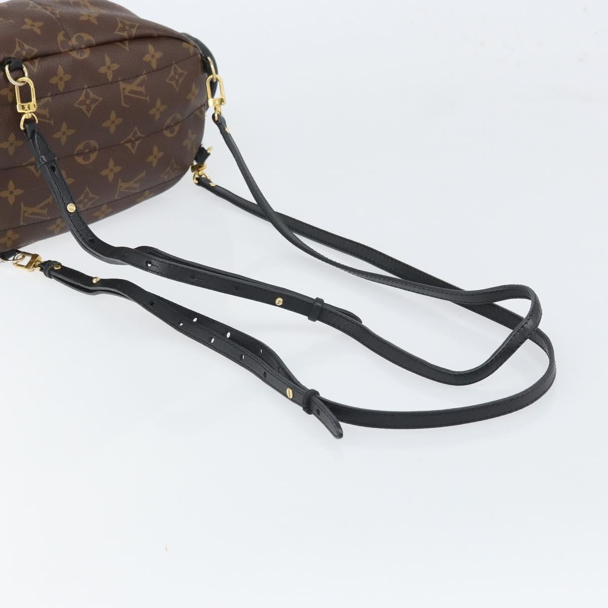 Louis Vuitton Palm Springs Monogram Canvas Brown Canvas Backpack Bag (Pre-Owned)