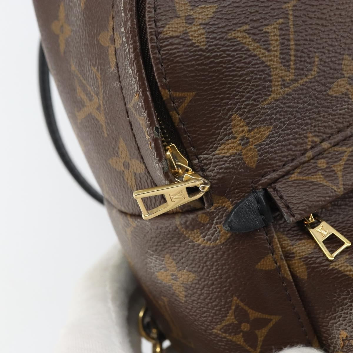Louis Vuitton Palm Springs Monogram Canvas Brown Canvas Backpack Bag (Pre-Owned)