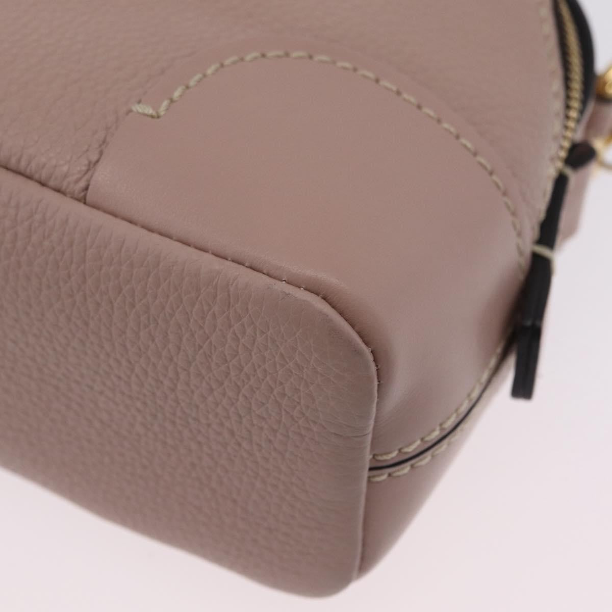 Chloe Daria Chain Leather Pink Leather Handbag (Pre-Owned)