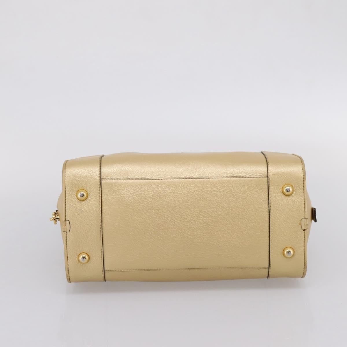 Loewe Amazona Leather Gold Leather Handbag (Pre-Owned)