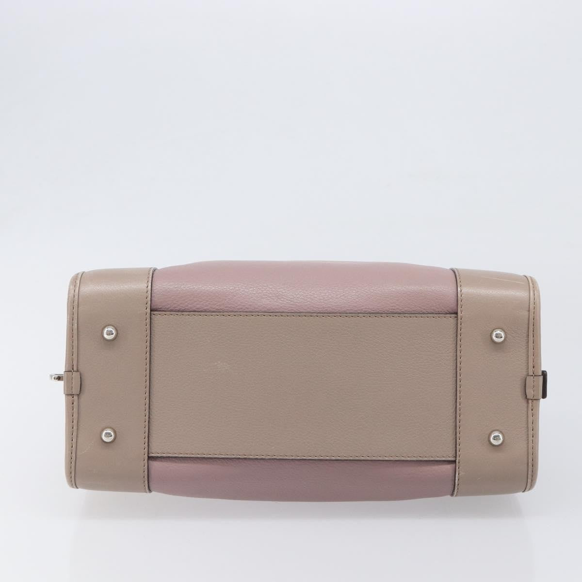 Loewe Amazona Leather Pink Leather Handbag (Pre-Owned)