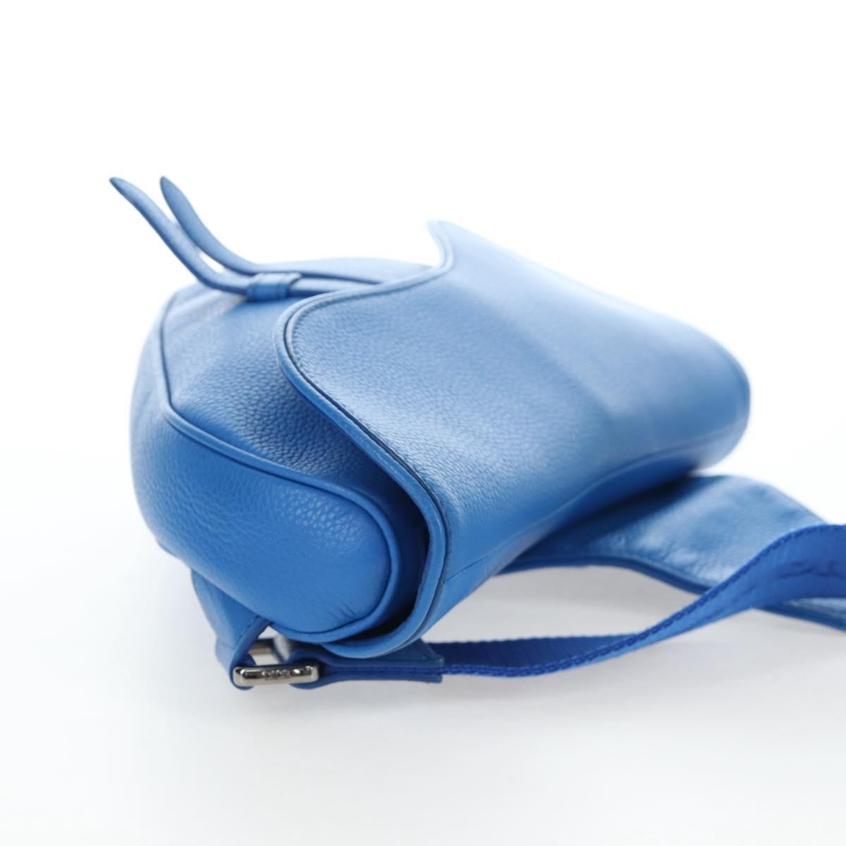 Christian Dior Saddle Leather Blue Leather Crossbody Bag Bag (Pre-Owned)