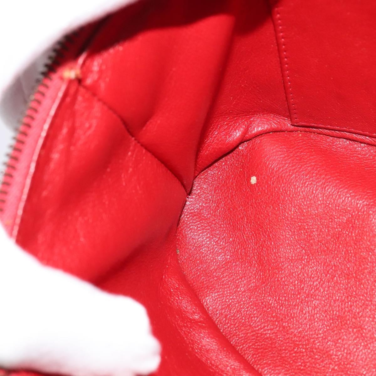 Celine Vanity Leather Red Leather Shoulder Bag Bag (Pre-Owned)