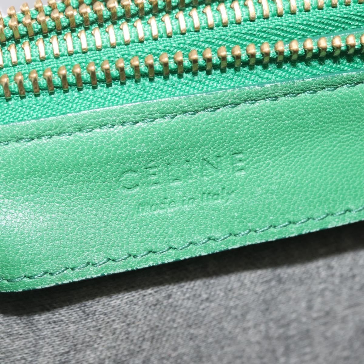 Celine Trio Leather Green Leather Crossbody Bag Bag (Pre-Owned)