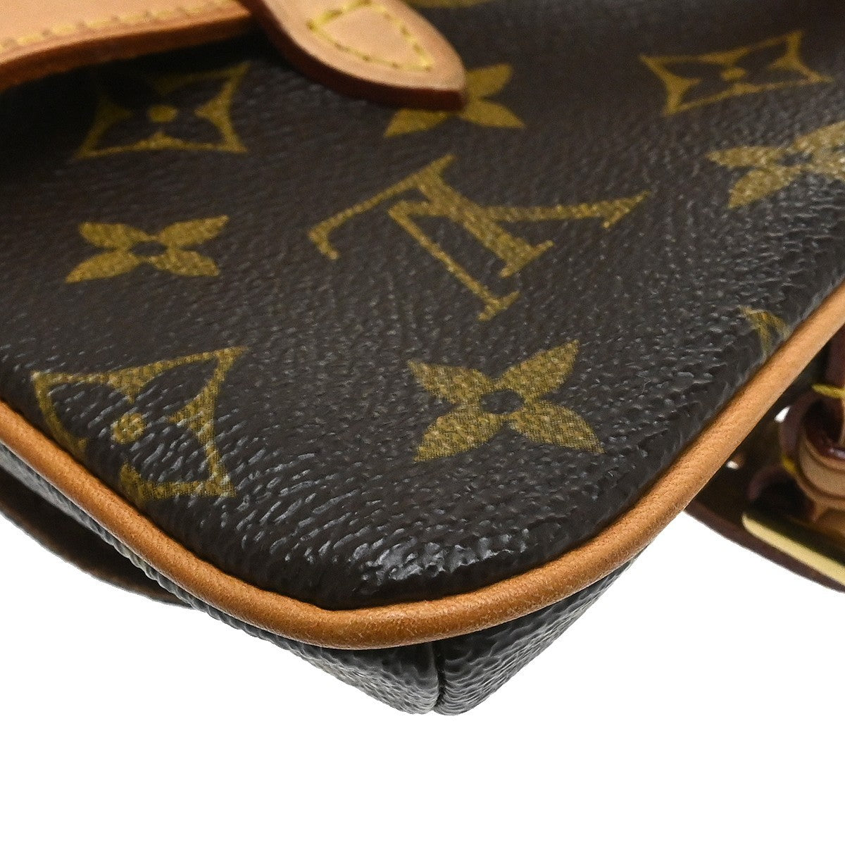 Louis Vuitton Marelle Waist Monogram Canvas Brown Canvas Clutche & Pouche Bag (Pre-Owned)