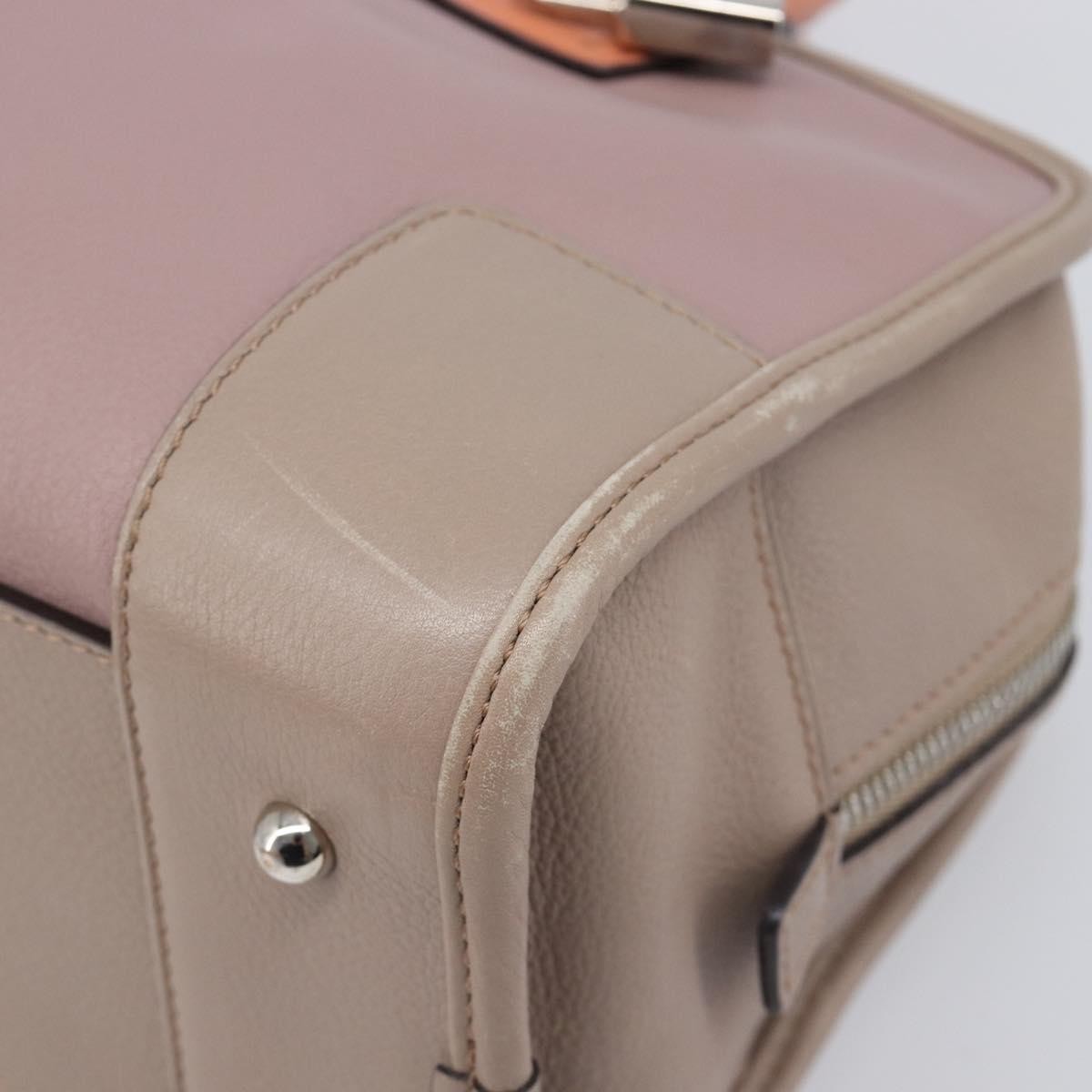 Loewe Amazona Leather Pink Leather Handbag (Pre-Owned)