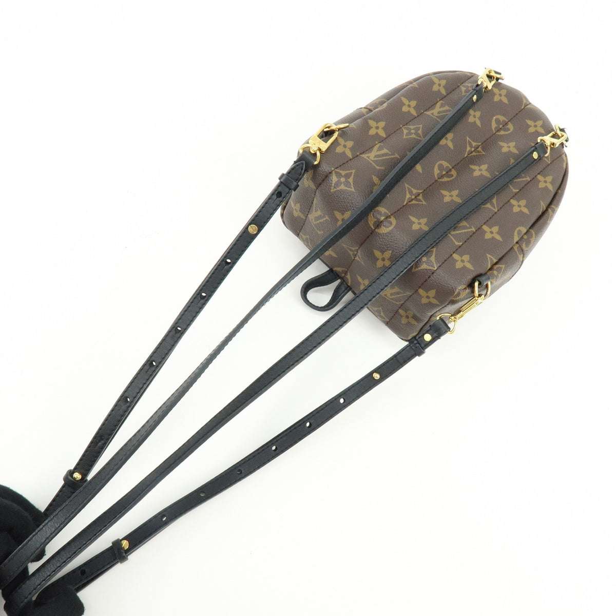 Louis Vuitton Palm Springs Monogram Canvas Brown Canvas Backpack Bag (Pre-Owned)