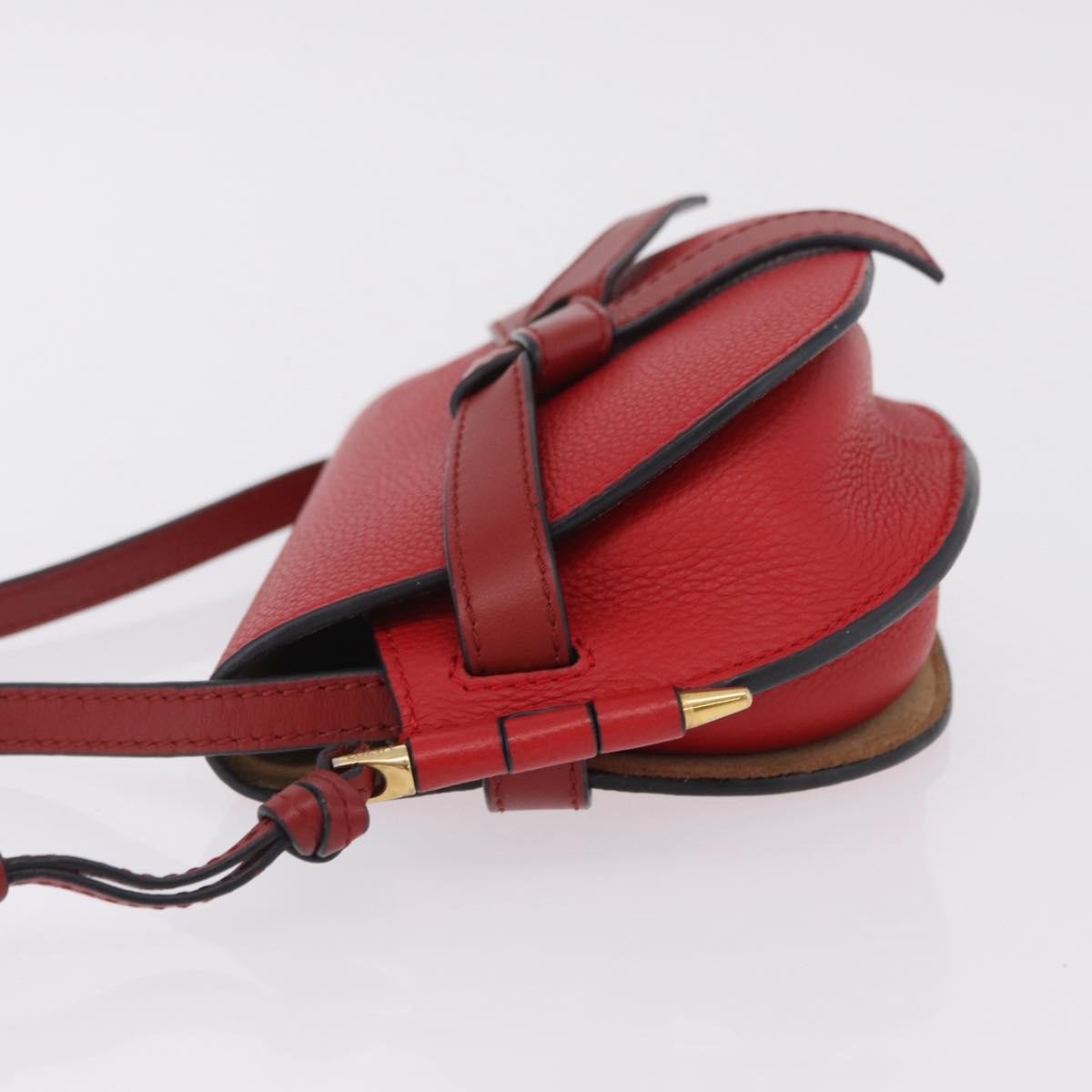 Loewe Metal Gate Leather Red Leather Shoulder Bag Bag (Pre-Owned)