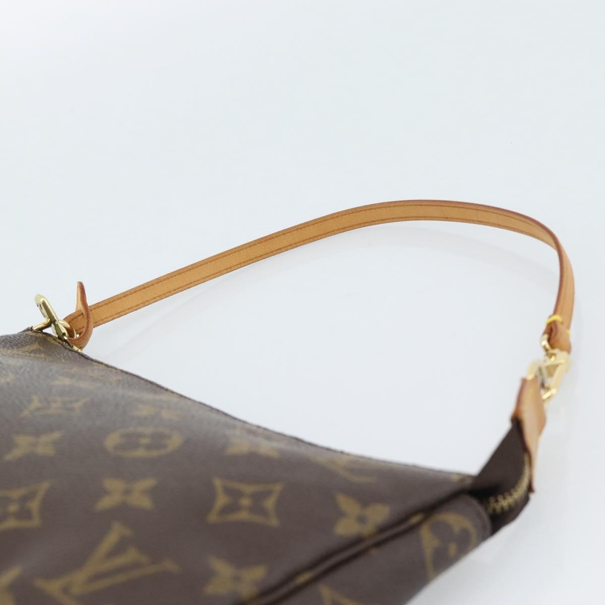 Louis Vuitton Pochette Accessoires Nm Monogram Canvas Brown Canvas Clutche & Pouche Bag (Pre-Owned)