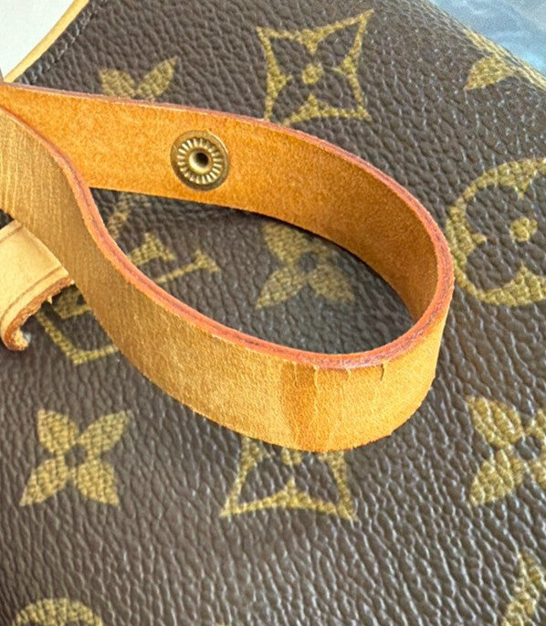 Louis Vuitton Florentine Waist Bag Monogram Canvas Brown Canvas Clutche & Pouche Bag (Pre-Owned)