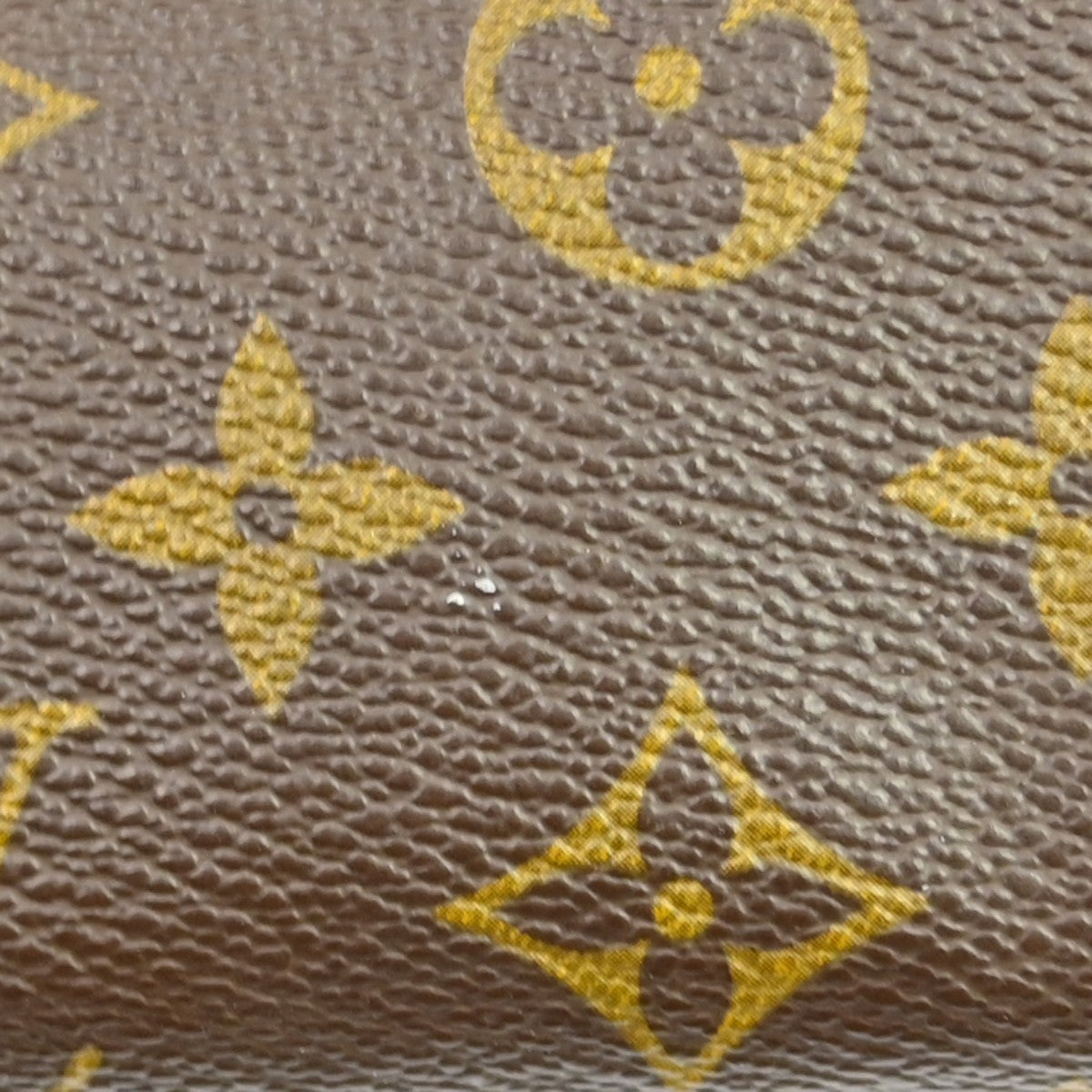 Louis Vuitton Papillon Handbag Monogram Canvas Brown Canvas Handbag (Pre-Owned)