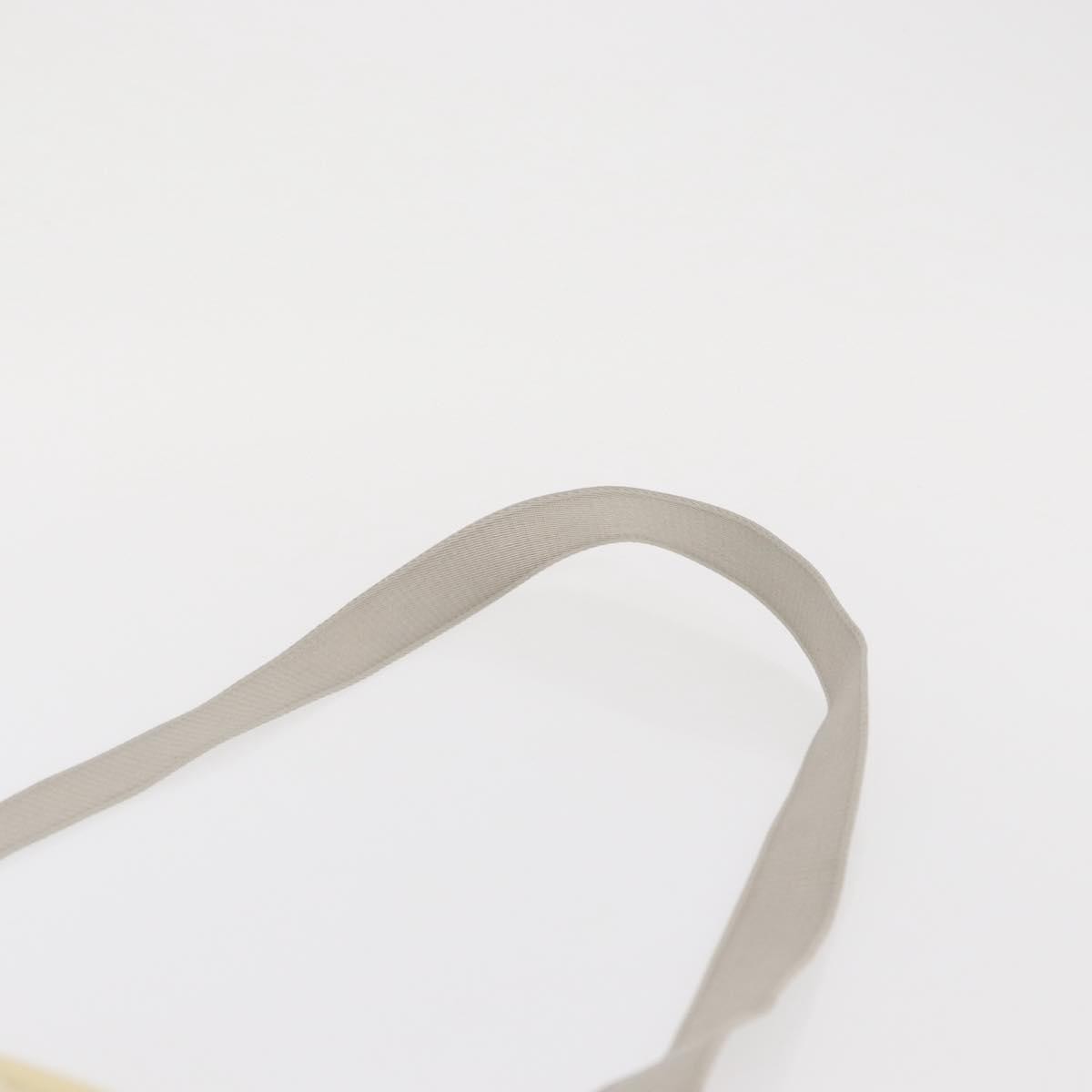 Chanel Sport Line Camera Crossbody Bag Nylon White Nylon Shoulder Bag Bag (Pre-Owned)