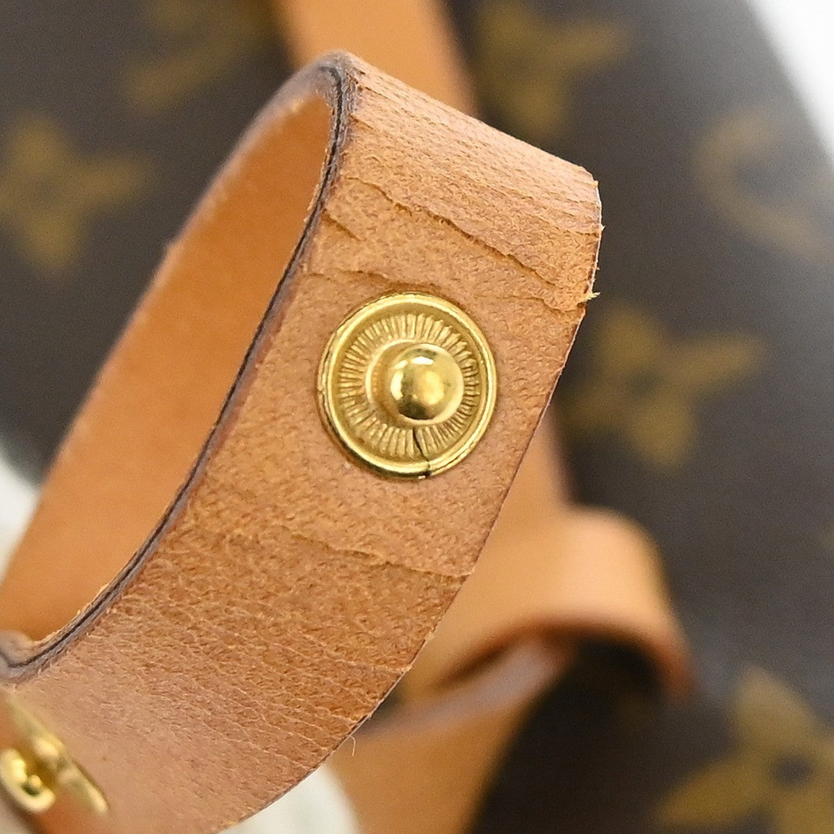 Louis Vuitton Florentine Waist Bag Monogram Canvas Brown Canvas Clutche & Pouche Bag (Pre-Owned)