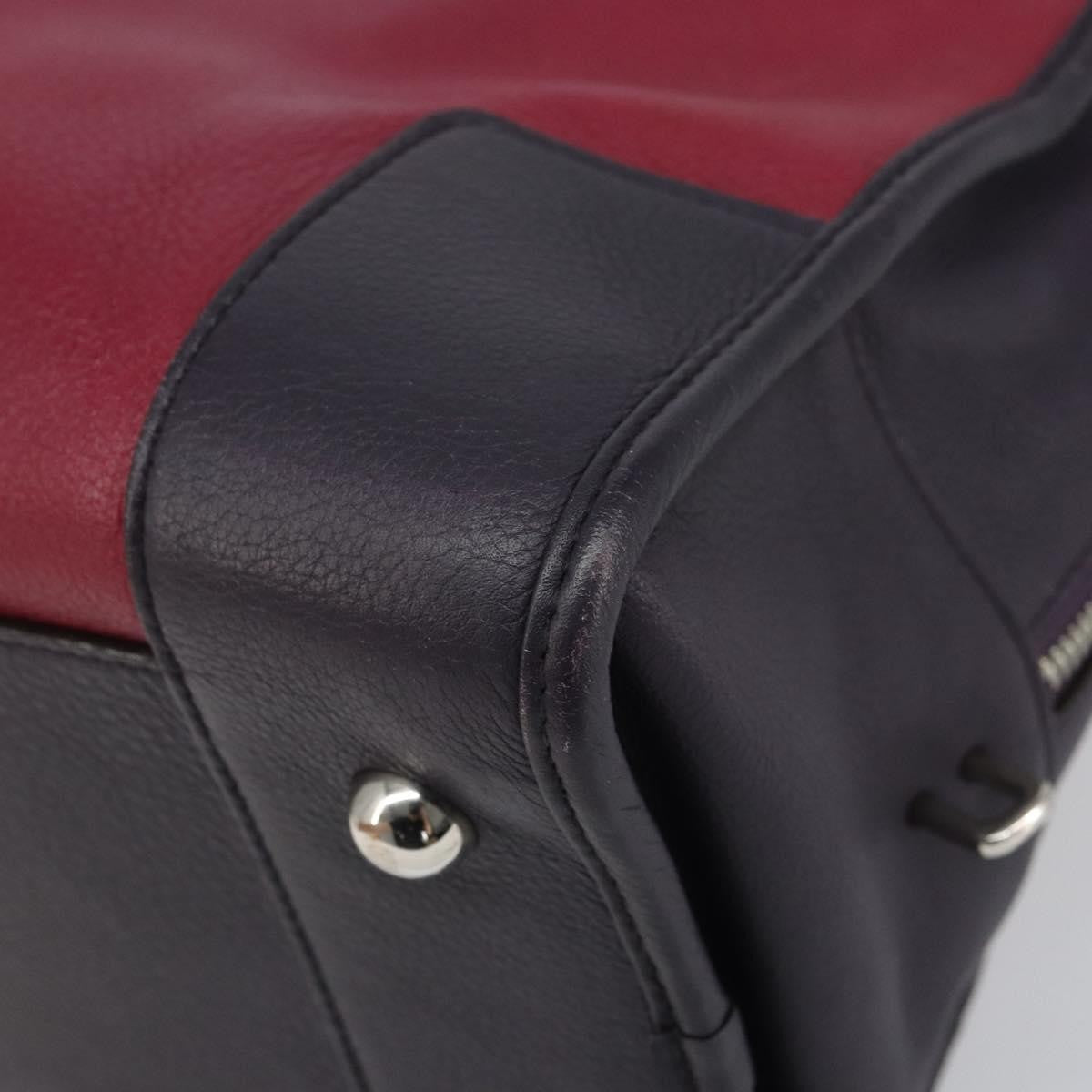 Loewe Amazona Bag Leather Red Leather Handbag (Pre-Owned)