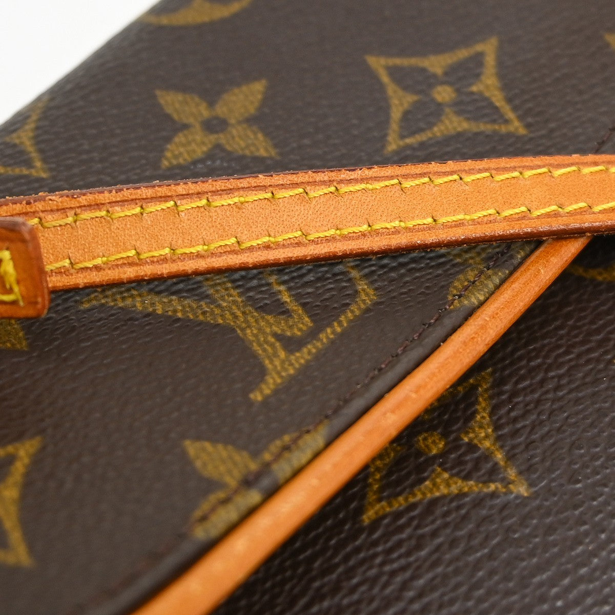 Louis Vuitton Twin Handbag Monogram Canvas Brown Canvas Clutche & Pouche Bag (Pre-Owned)