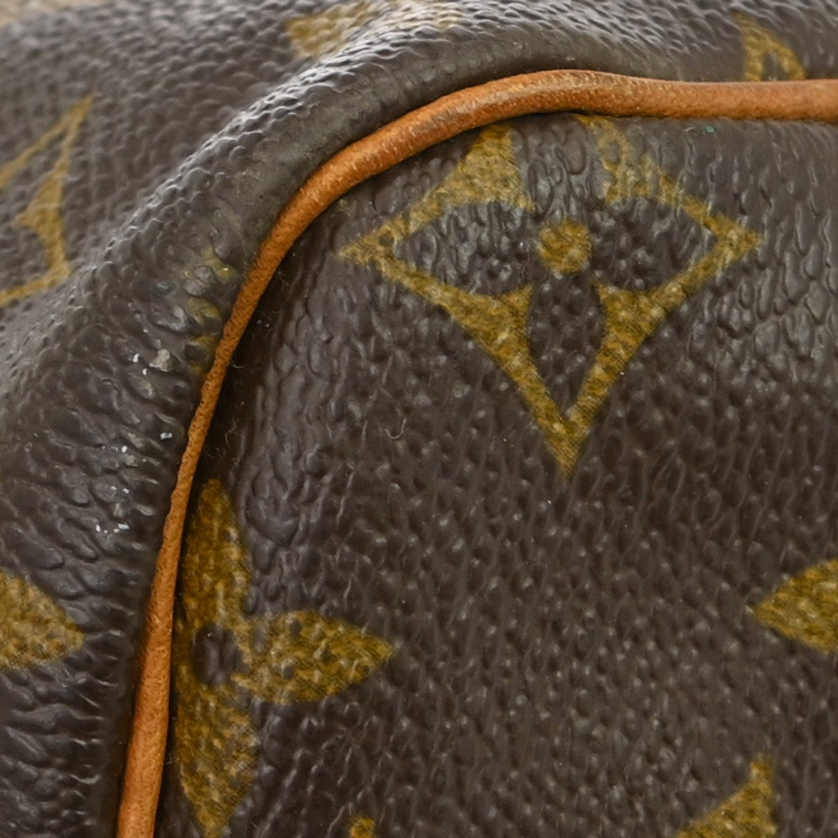Louis Vuitton Speedy Handbag Monogram Canvas Brown Canvas Handbag (Pre-Owned)