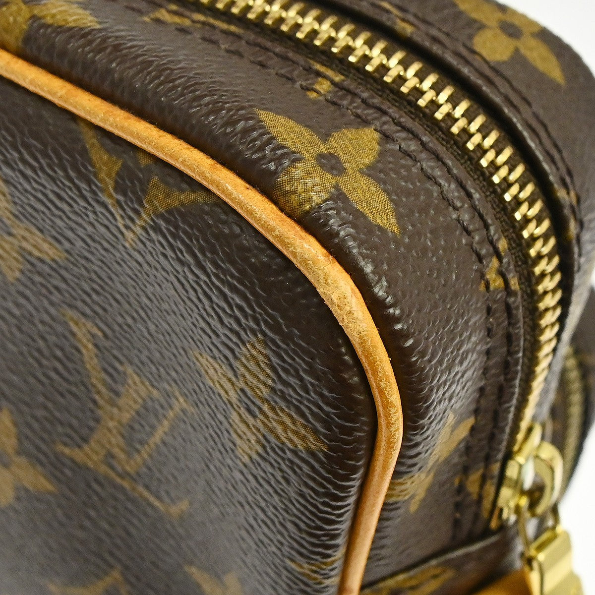Louis Vuitton Amazone Bag Monogram Canvas Brown Canvas Crossbody Bag Bag (Pre-Owned)