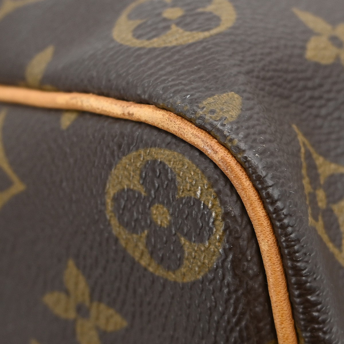 Louis Vuitton Speedy Handbag Monogram Canvas Brown Canvas Handbag (Pre-Owned)