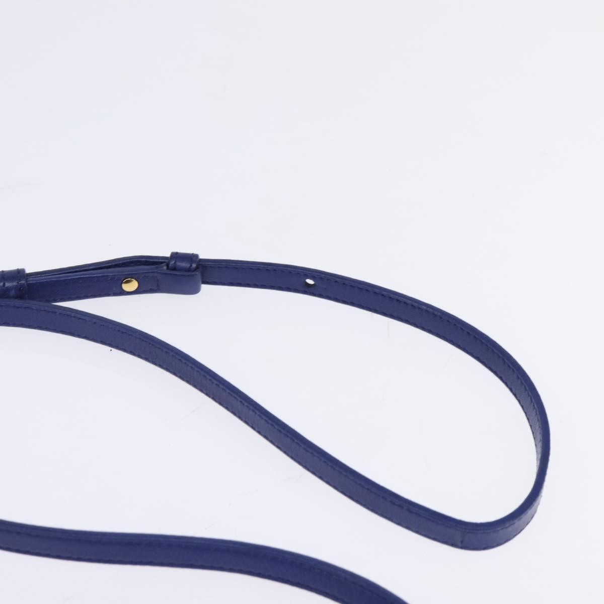 Celine Trio Crossbody Bag Leather Blue Leather Crossbody Bag Bag (Pre-Owned)