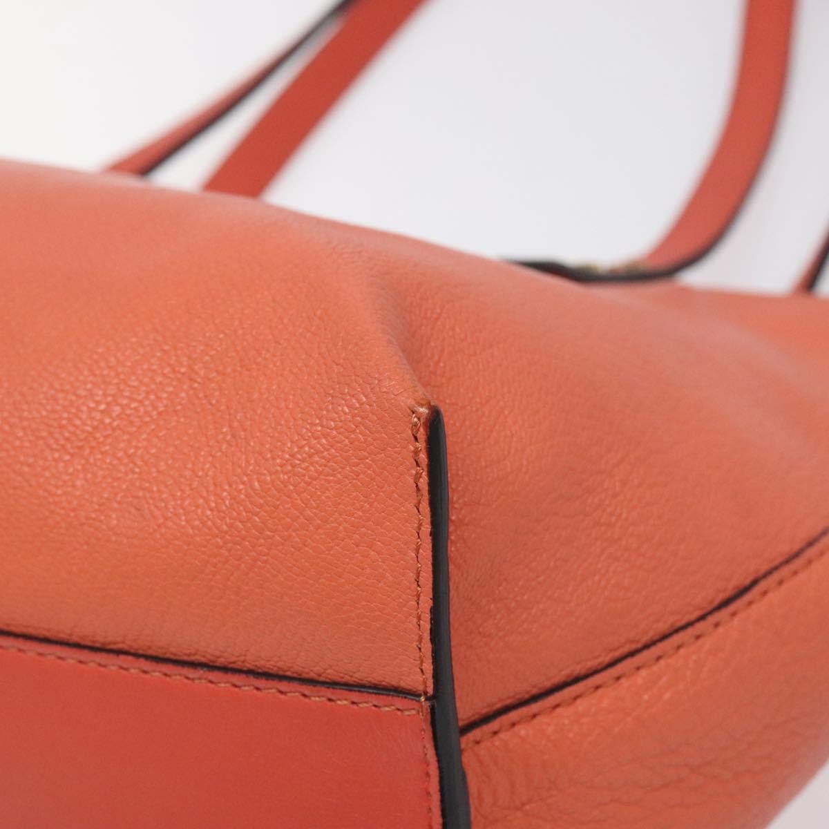 Chloe Dilan Tote Leather Orange Leather Bag (Pre-Owned)