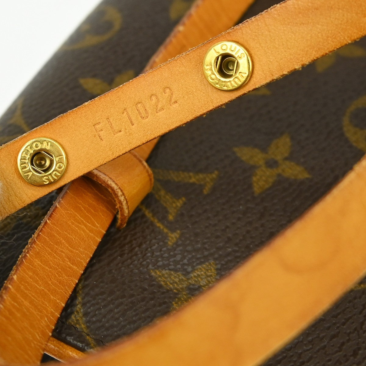 Louis Vuitton Florentine Waist Bag Monogram Canvas Brown Canvas Clutche & Pouche Bag (Pre-Owned)