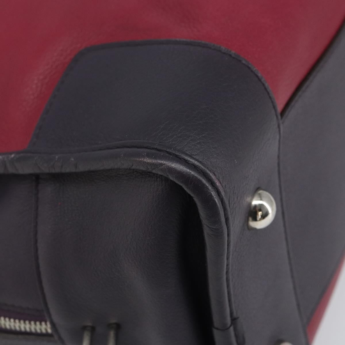 Loewe Amazona Bag Leather Red Leather Handbag (Pre-Owned)