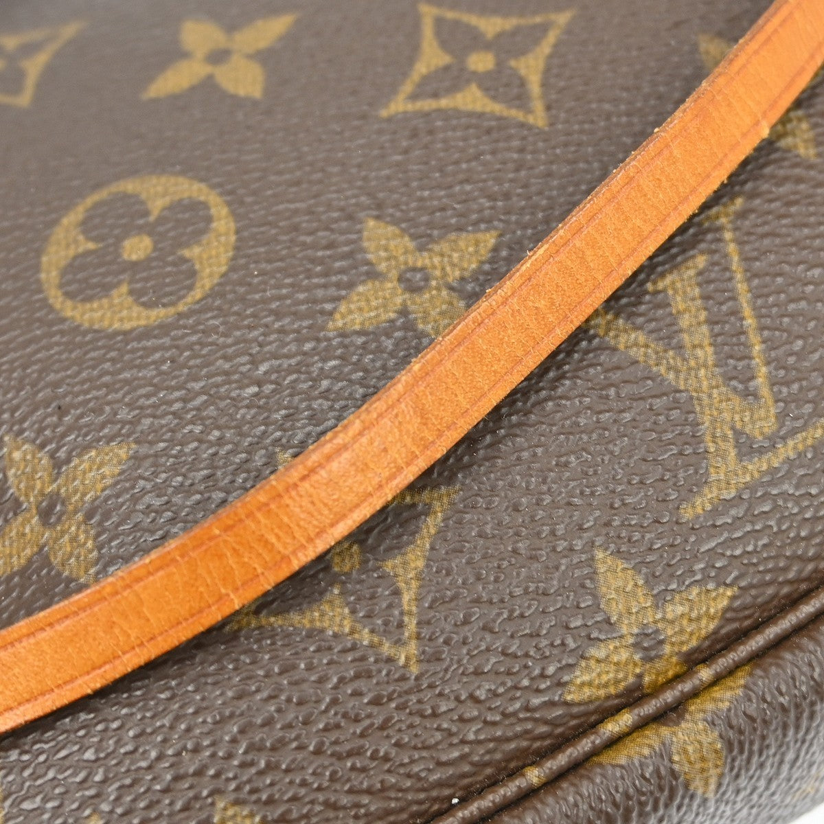 Louis Vuitton Pochette Accessoires Nm Monogram Canvas Brown Canvas Clutche & Pouche Bag (Pre-Owned)