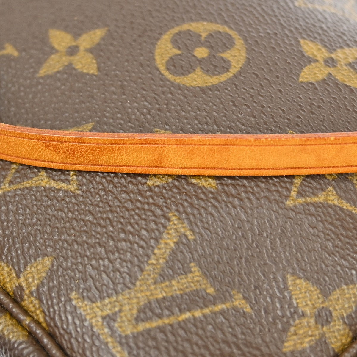 Louis Vuitton Pochette Accessoires Nm Monogram Canvas Brown Canvas Clutche & Pouche Bag (Pre-Owned)