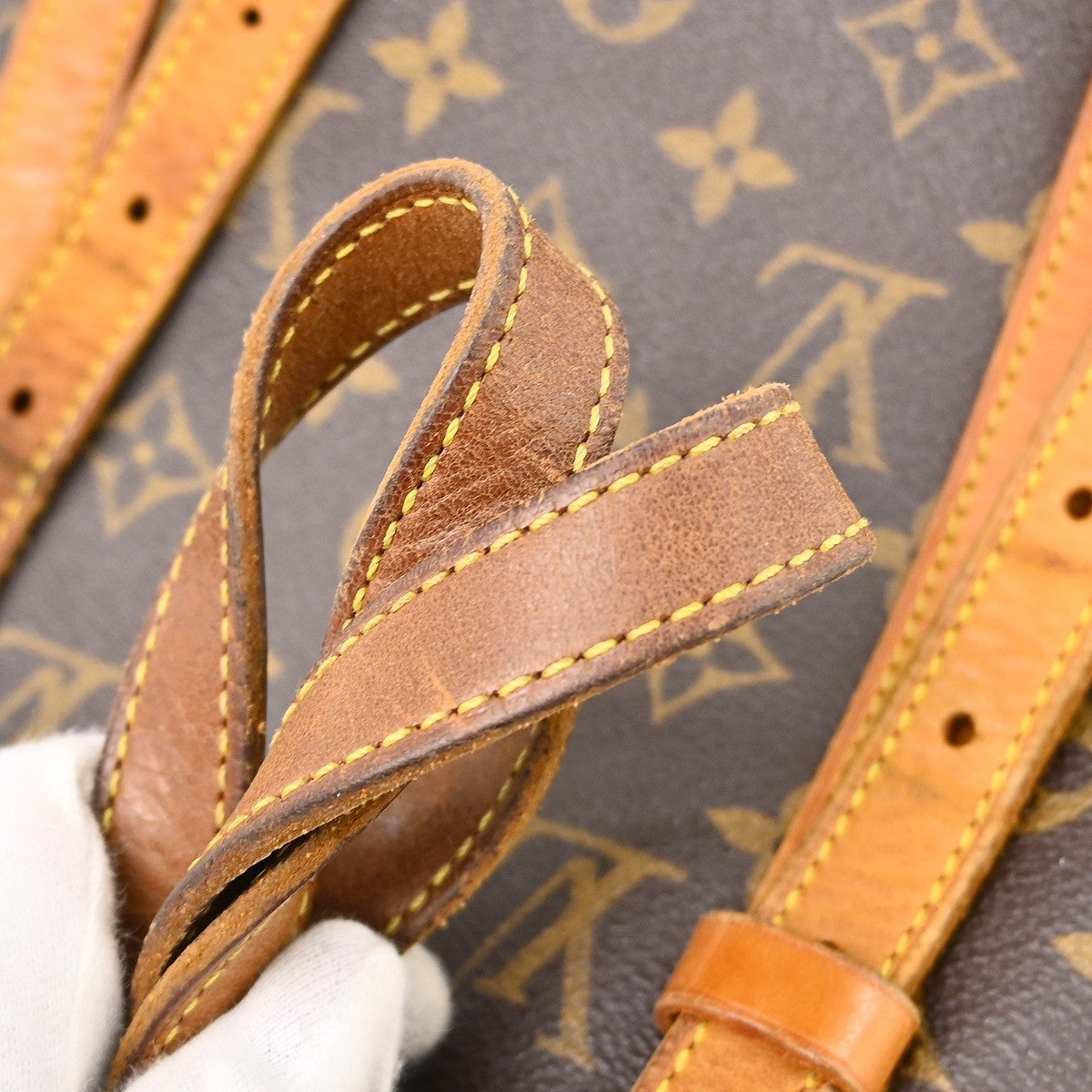 Louis Vuitton Bucket Bag Monogram Canvas Brown Canvas Handbag (Pre-Owned)