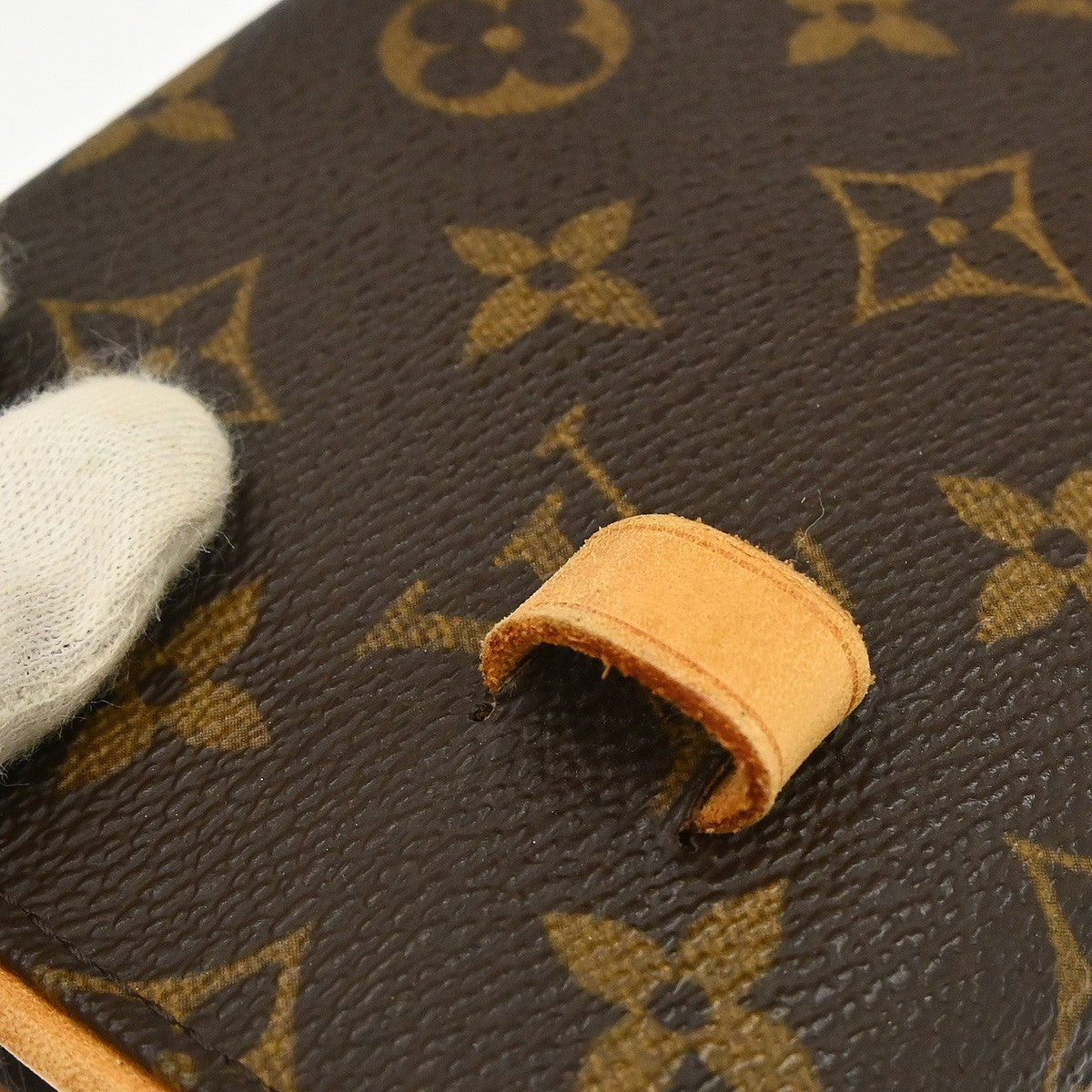 Louis Vuitton Florentine Waist Bag Monogram Canvas Brown Canvas Clutche & Pouche Bag (Pre-Owned)