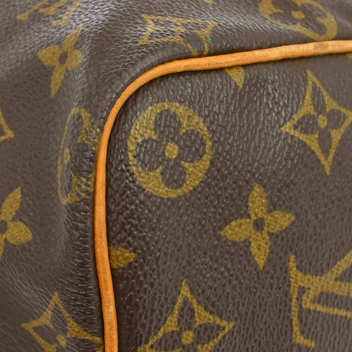 Louis Vuitton Speedy Handbag Monogram Canvas Brown Canvas Handbag (Pre-Owned)