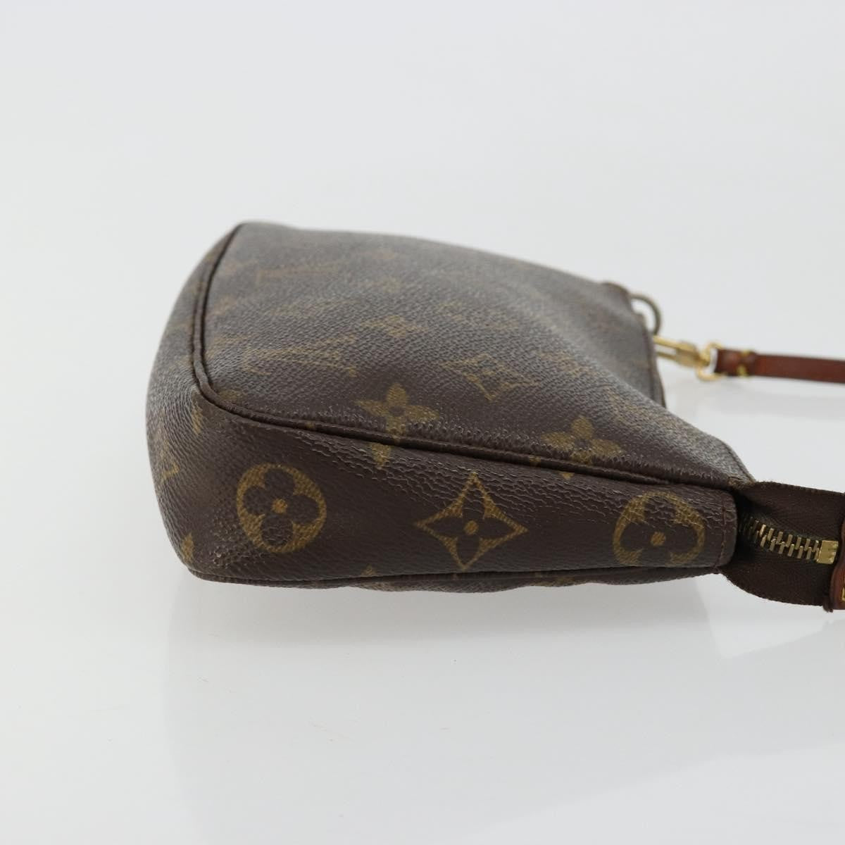 Louis Vuitton Pochette Accessoires Nm Monogram Canvas Brown Canvas Clutche & Pouche Bag (Pre-Owned)