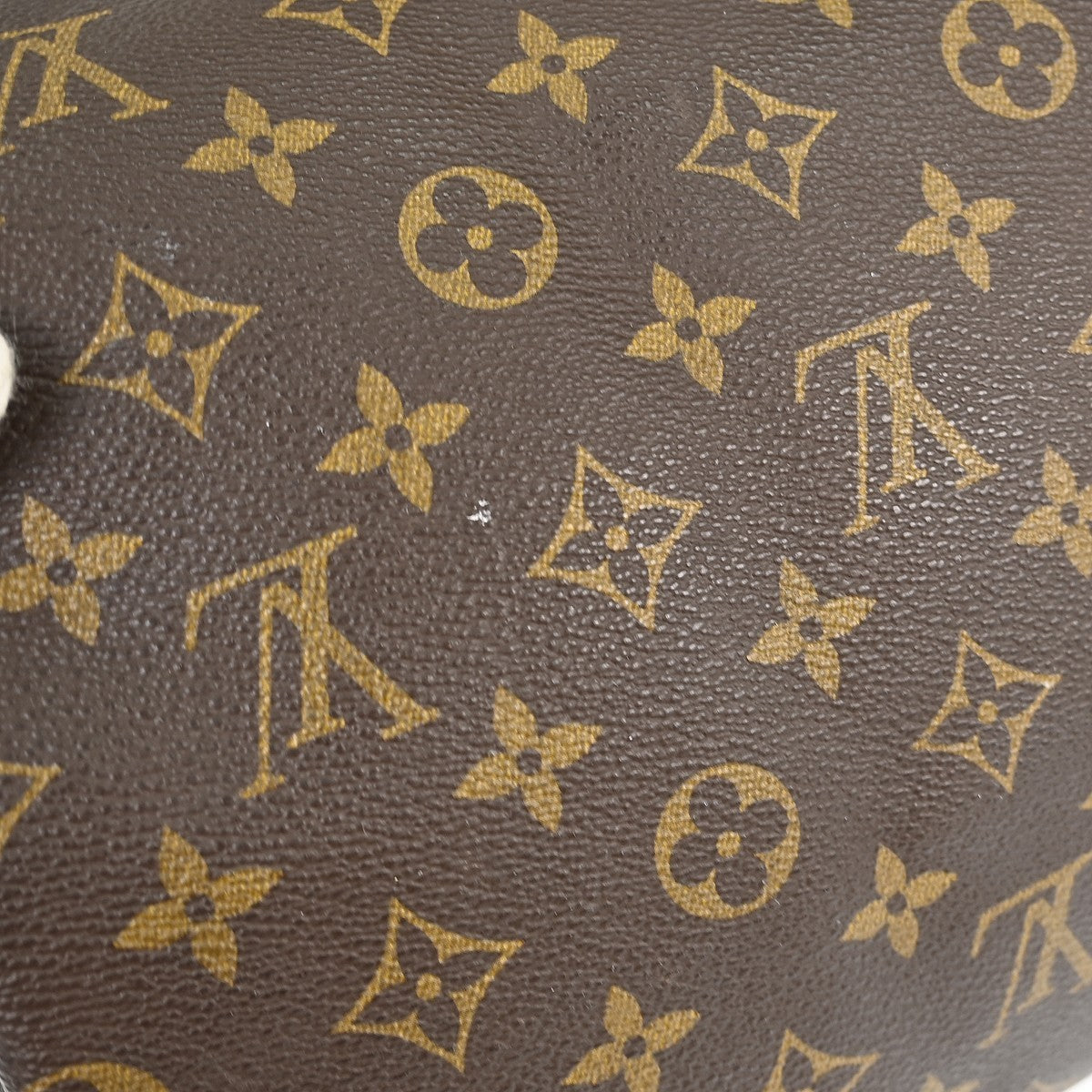 Louis Vuitton Speedy Handbag Monogram Canvas Brown Canvas Handbag (Pre-Owned)