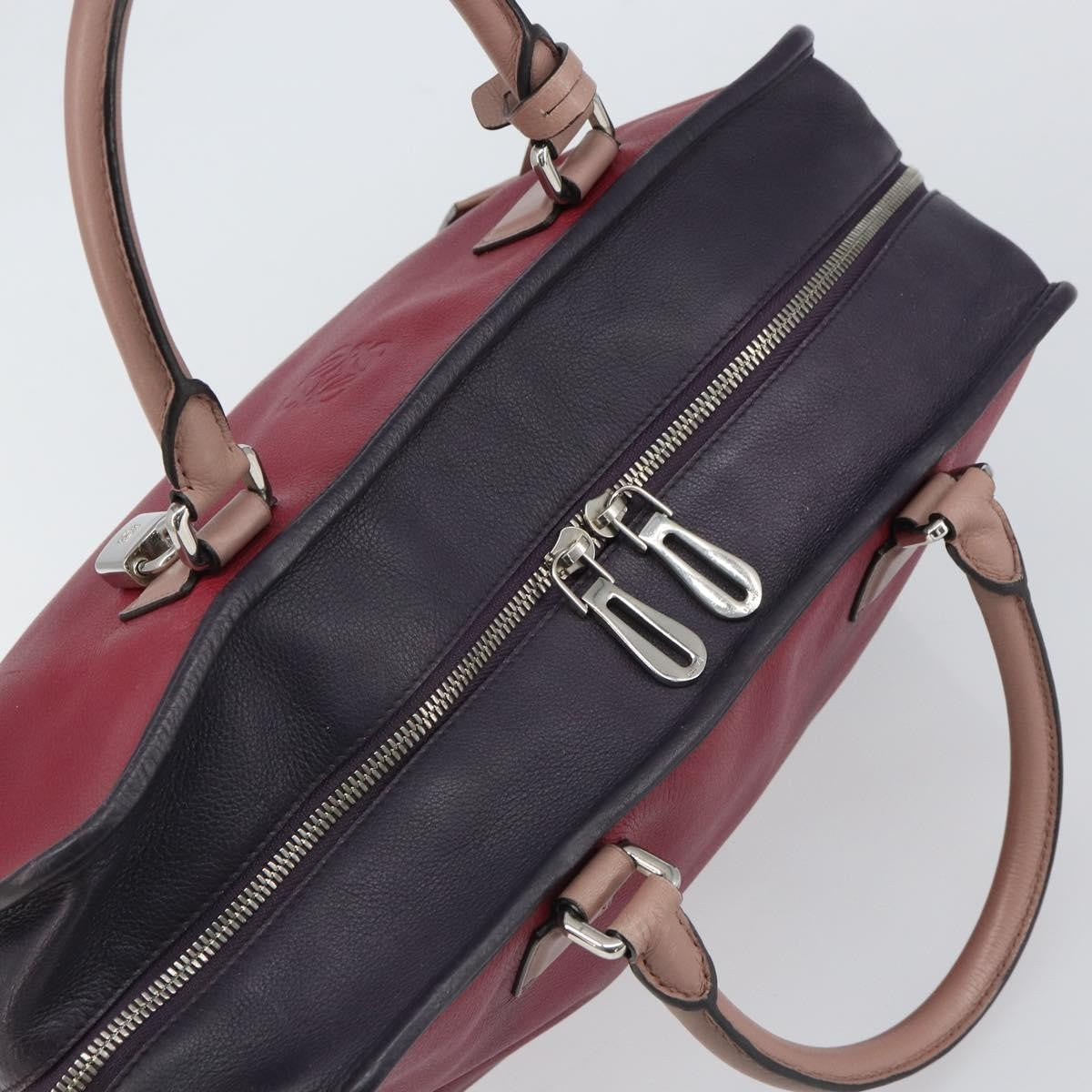 Loewe Amazona Bag Leather Red Leather Handbag (Pre-Owned)