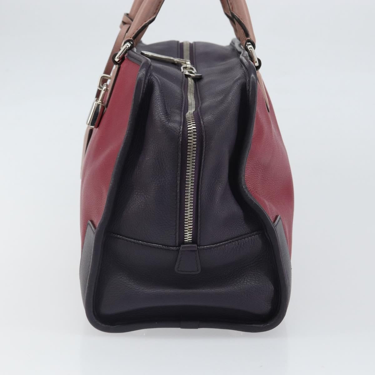 Loewe Amazona Bag Leather Red Leather Handbag (Pre-Owned)