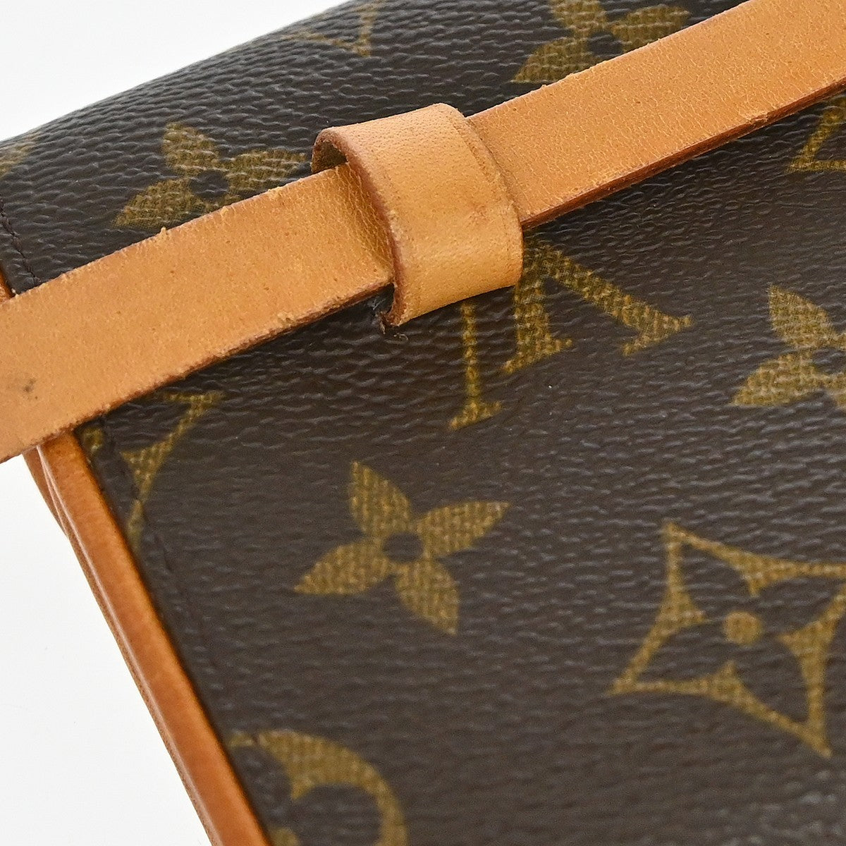 Louis Vuitton Florentine Waist Bag Monogram Canvas Brown Canvas Clutche & Pouche Bag (Pre-Owned)