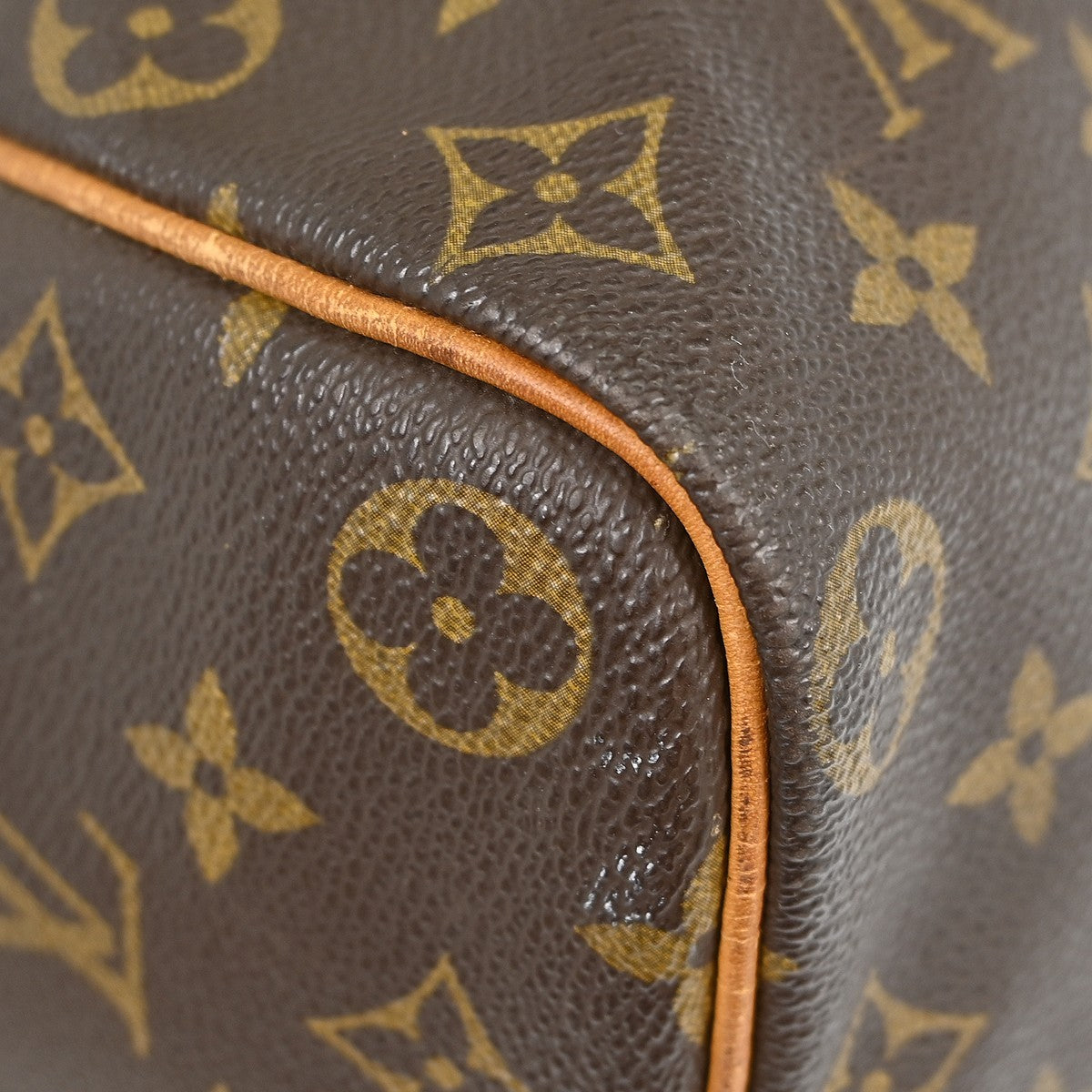 Louis Vuitton Speedy Handbag Monogram Canvas Brown Canvas Handbag (Pre-Owned)
