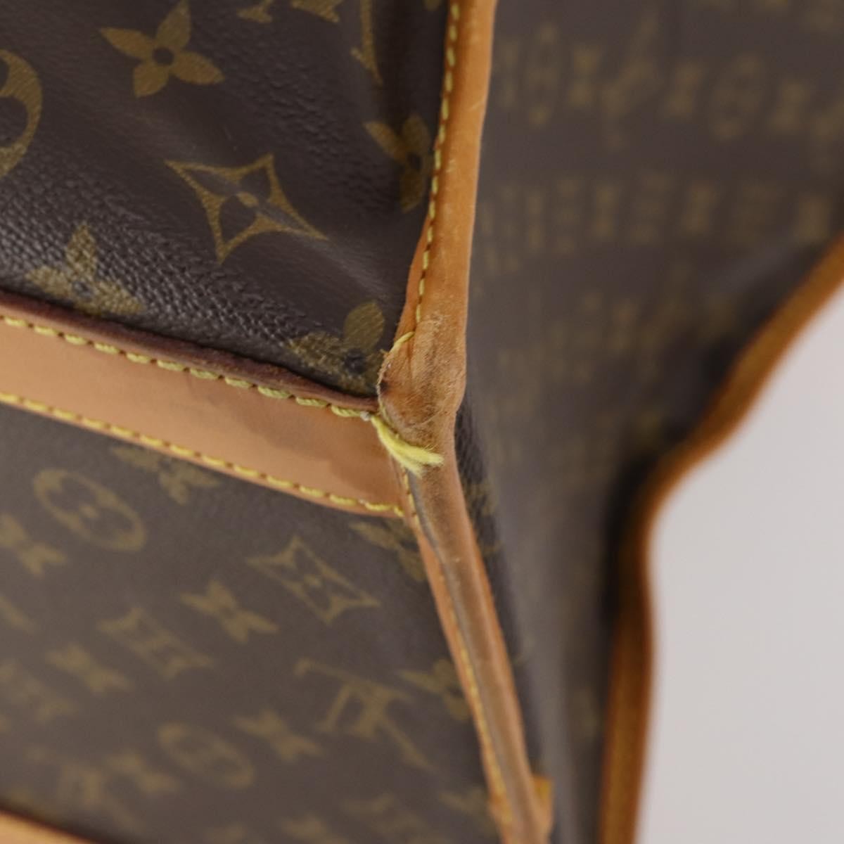 Louis Vuitton Dog Carrier Bag Monogram Canvas Multicolour Canvas Travel Bag Bag (Pre-Owned)