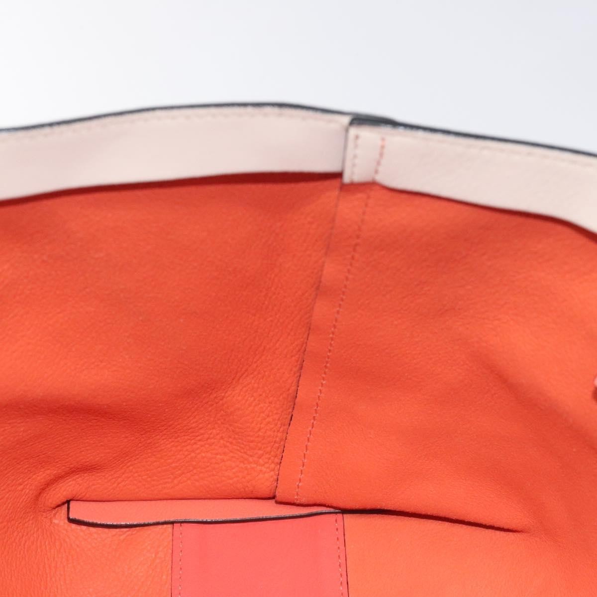 Chloe Dilan Tote Leather Orange Leather Bag (Pre-Owned)