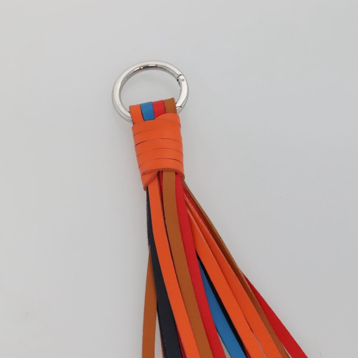 Loewe Anagram Bag Charm Key Holder Metal With Leather Multicolour Leather Charms And Keychains Accessory (Pre-Owned)