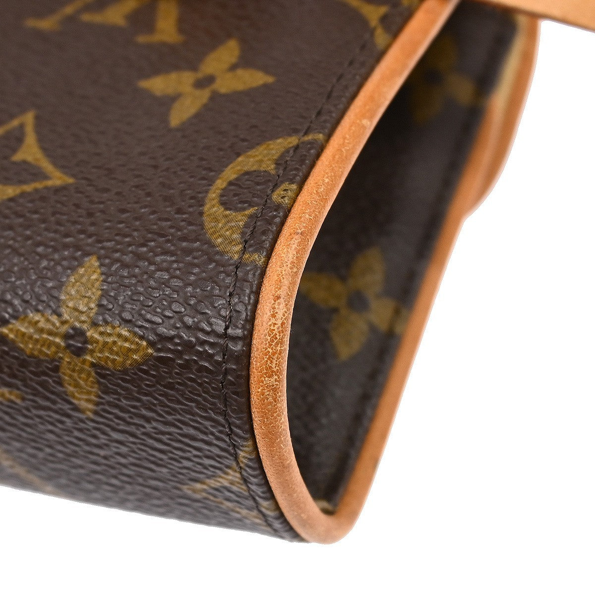 Louis Vuitton Florentine Waist Bag Monogram Canvas Brown Canvas Clutche & Pouche Bag (Pre-Owned)