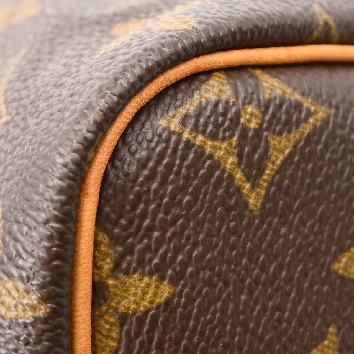 Louis Vuitton Speedy Handbag Monogram Canvas Brown Canvas Handbag (Pre-Owned)